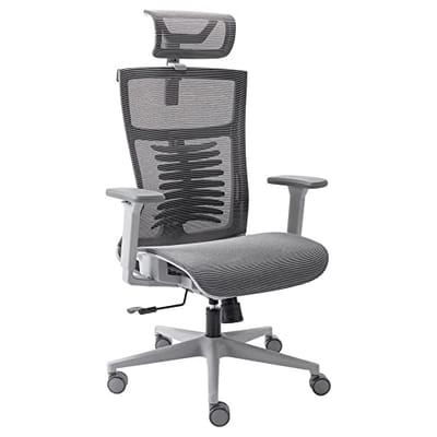 Cadeira Ergonômica Vertta Pro com Apoio Lombar e Cabeça