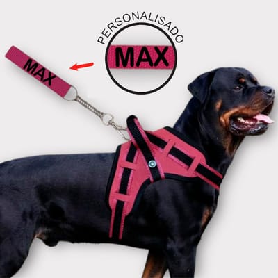 Peitoral e Guia Personalizado para Cachorro