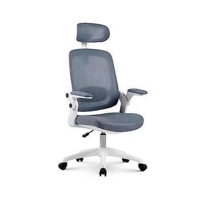 Cadeira de Escritório Ergonômica Elements Astra