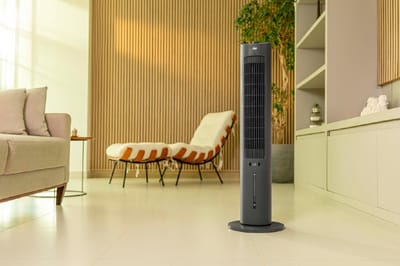 Climatizador de Ar WAP AIR FRESH 4 em 1 220V