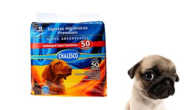 Tapete Higienico Premium 50 Unidades 90x60cm