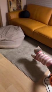 Cama Cave Cachorros Whippet com coberta GG 80x80