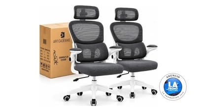 Kit 2 Cadeiras de Escritório Ergonômica Python Fly B07