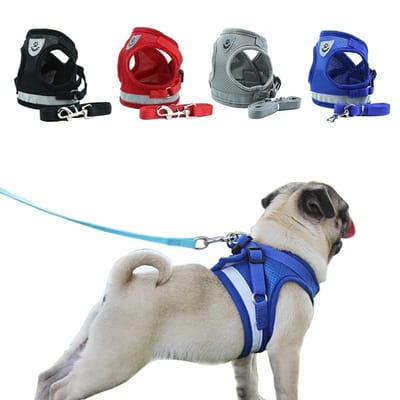 Peitoral Mais a Guia para Cachorro Coleira Para Caes E Gatos Colete Regulavel Super Confortavel Pet