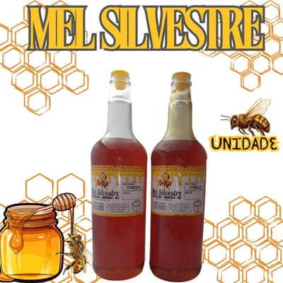 Mel Garrafa Abelha Silvestre 1,3kg