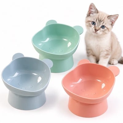 Comedouro Bebedouro Ursinho Elevado Para Cães e Gatos